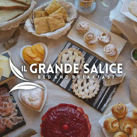 Bb Il Grande Salice Bike Friends Bed & Breakfast