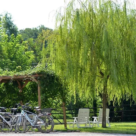 Bb Il Grande Salice Bike Friends Bed & Breakfast Ponti sul Mincio