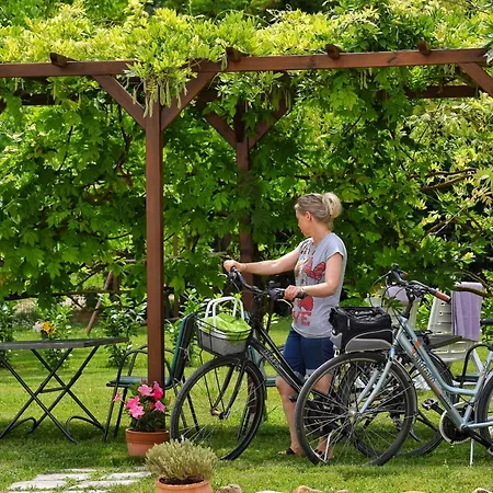 Bed & Breakfast Bb Il Grande Salice Bike Friends Ponti sul Mincio